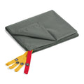 Castor Grey