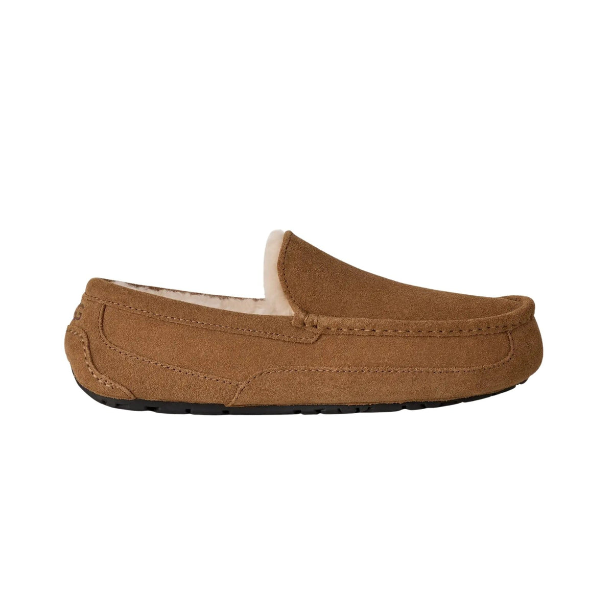 Ugg Ascot Slipper – Men's
