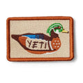 Wetlands Duck
