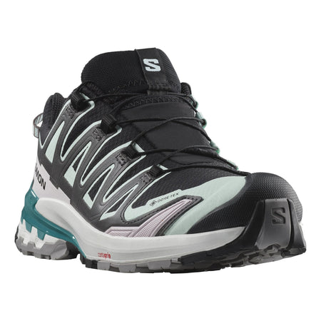 Salomon XA Pro 3D V9 GTX