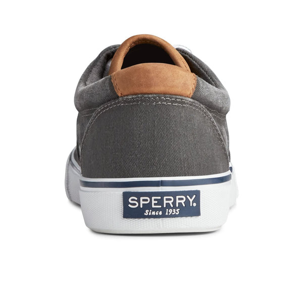 Sperry Men's Striper II CVO Sneaker