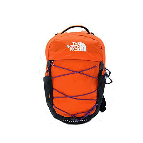 The North Face Borealis Mini Backpack
