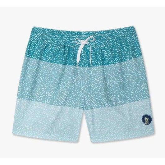 Chubbies Men's The Neon Lights 5.5' Stretch