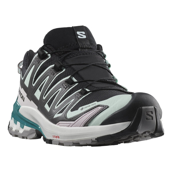 Salomon Men's XA Pro 3D V9 GTX Trail Shoe