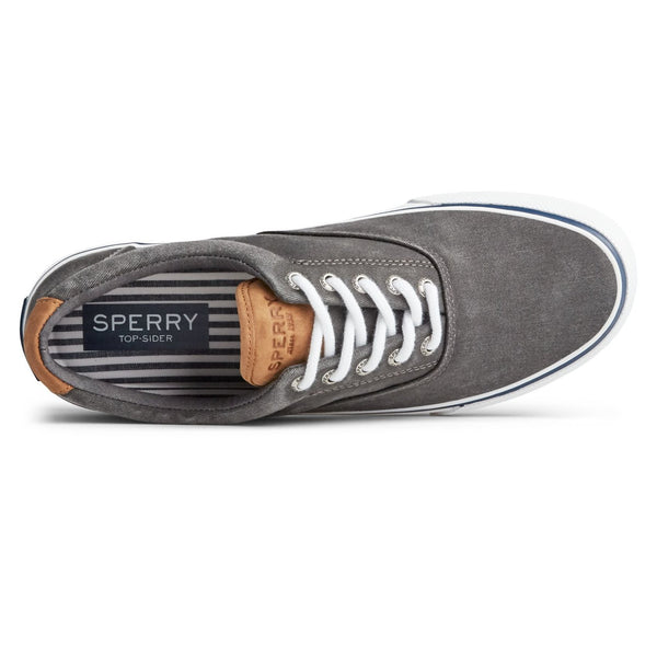 Sperry Men's Striper II CVO Sneaker